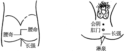 ͼ9--2ϰĦȡѨͼ